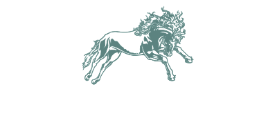 Arsenal Média