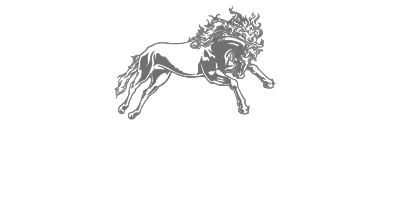 Arsenal Média